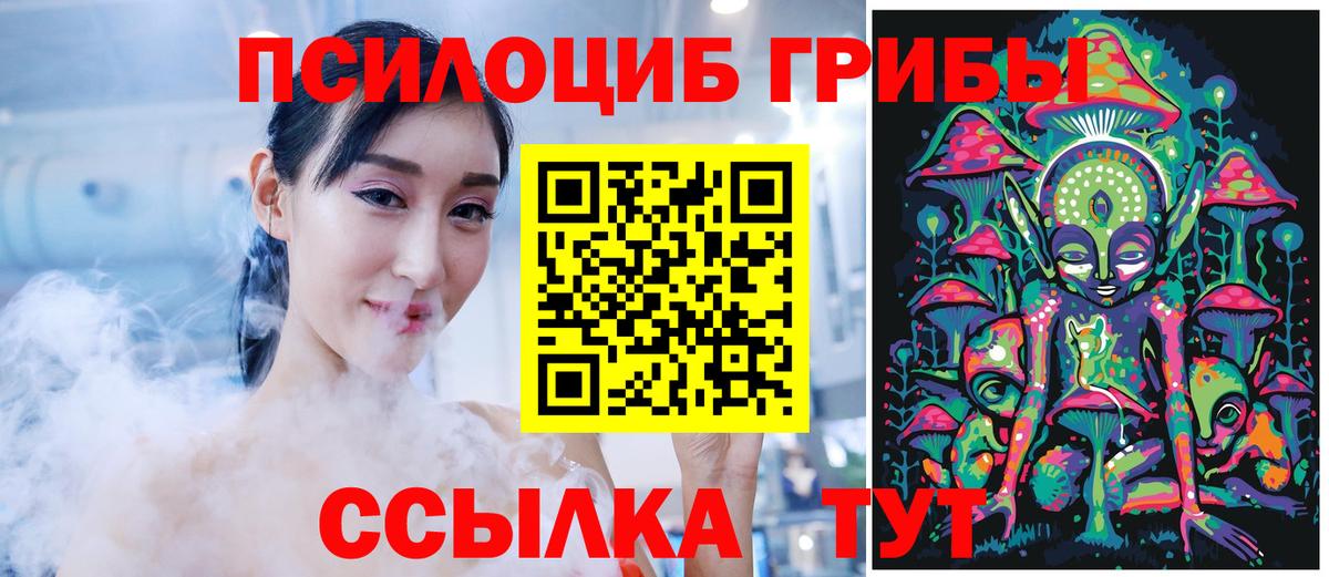 Острогожск  Псилоцибиновые грибы Magic Shrooms  где продают   Вход с VPN 