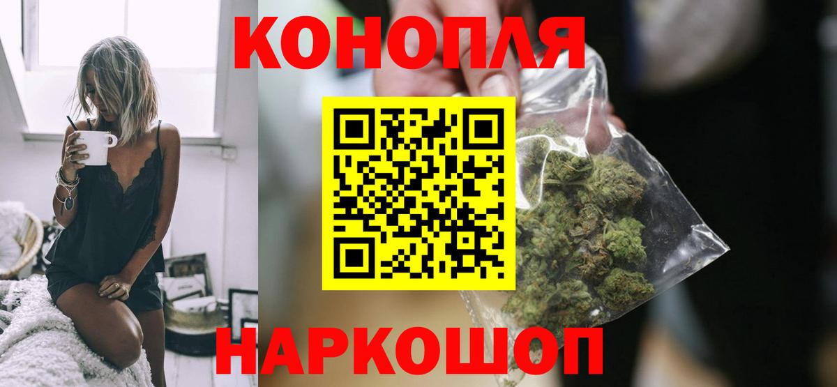 Конопля марихуана Острогожск